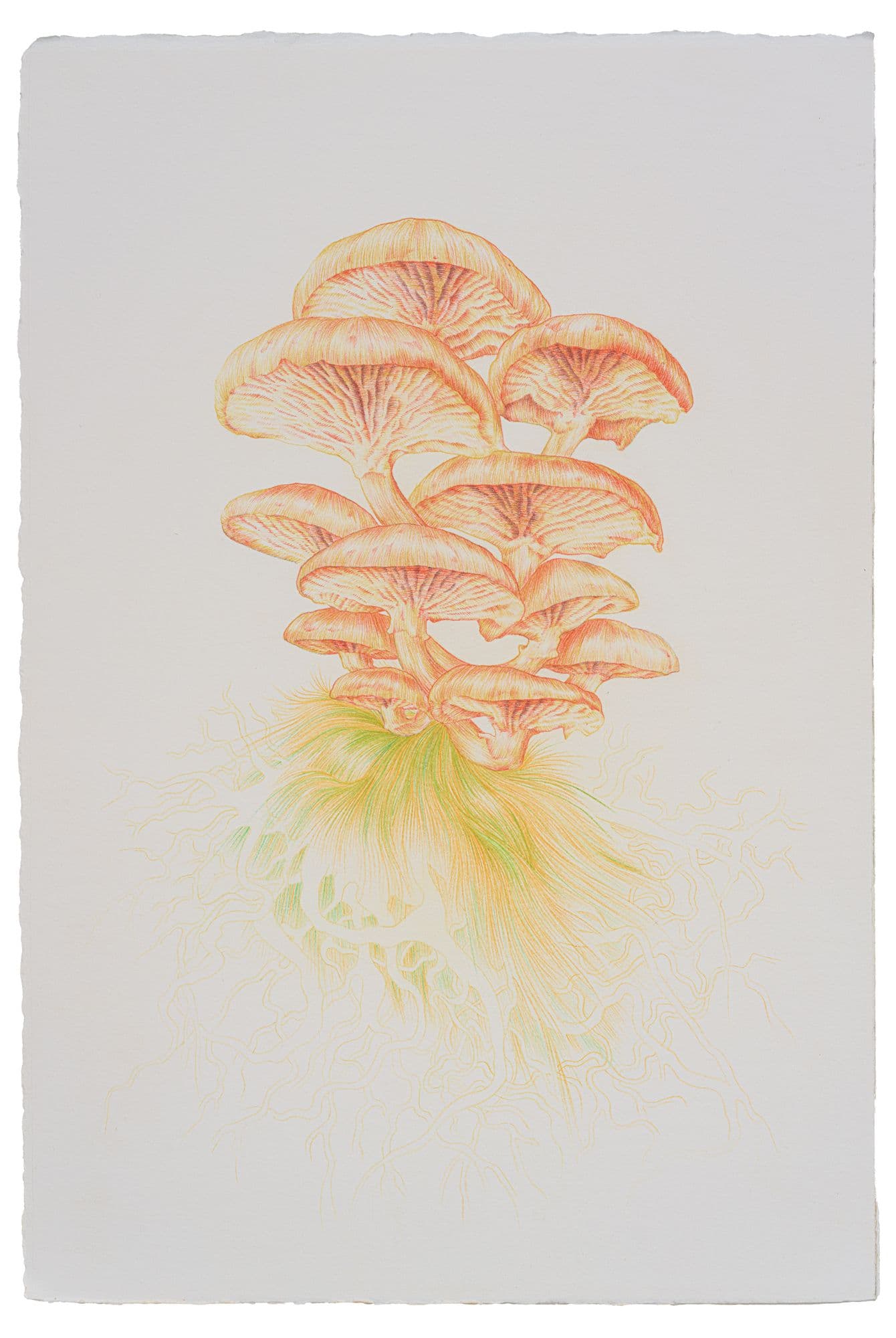 ZHENG MAHLER: MUSHROOM CLOUDS