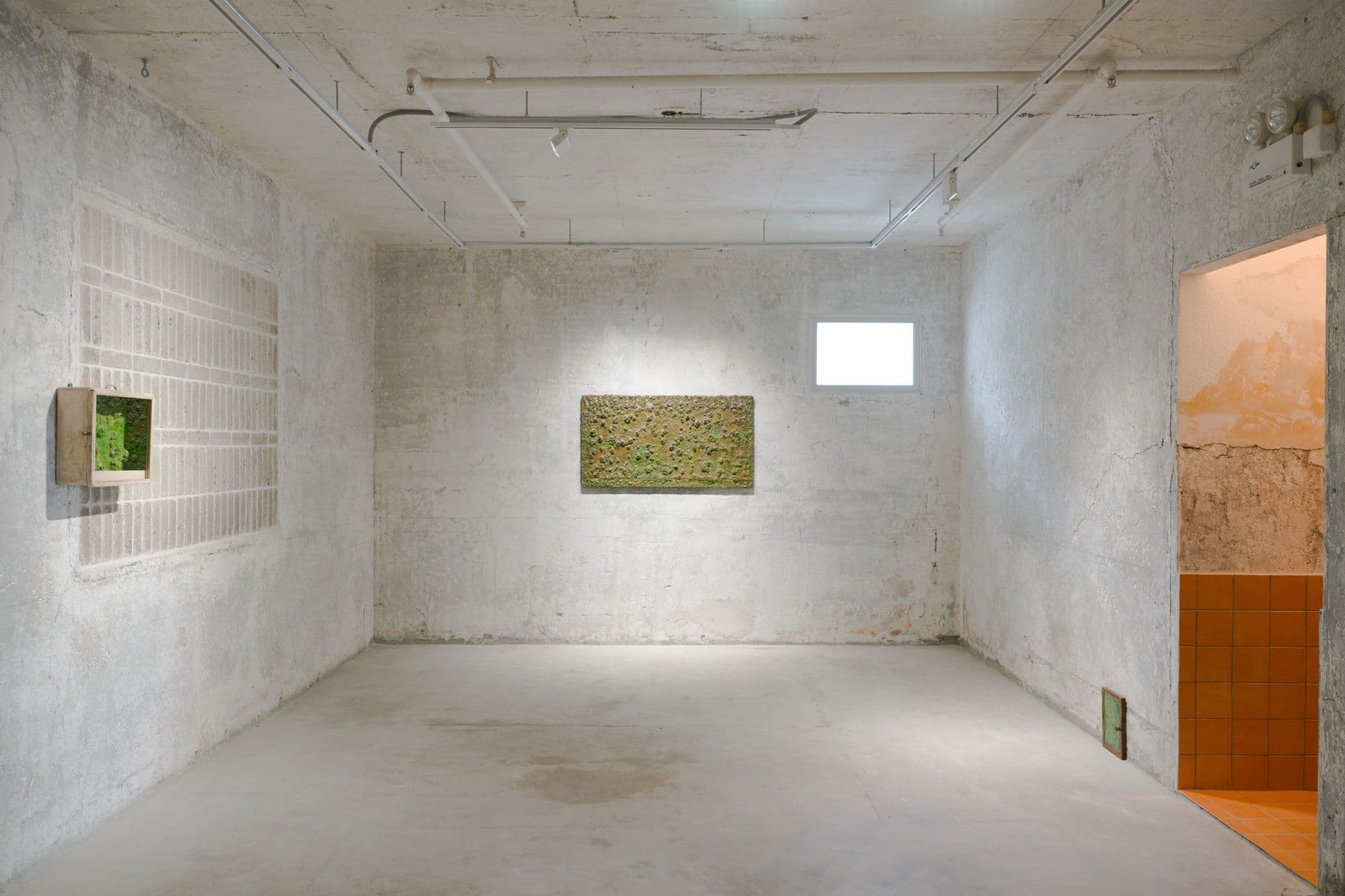 CHAN TING: DREAMSKIN