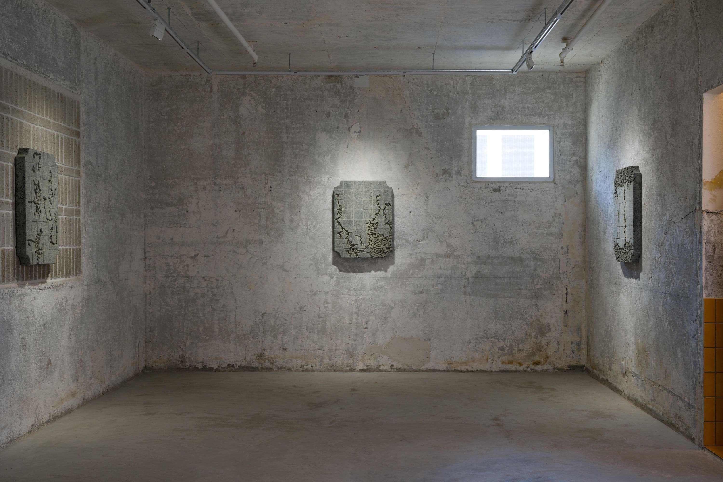 DYLAN DEROSE: ORDER OF OPERATIONS