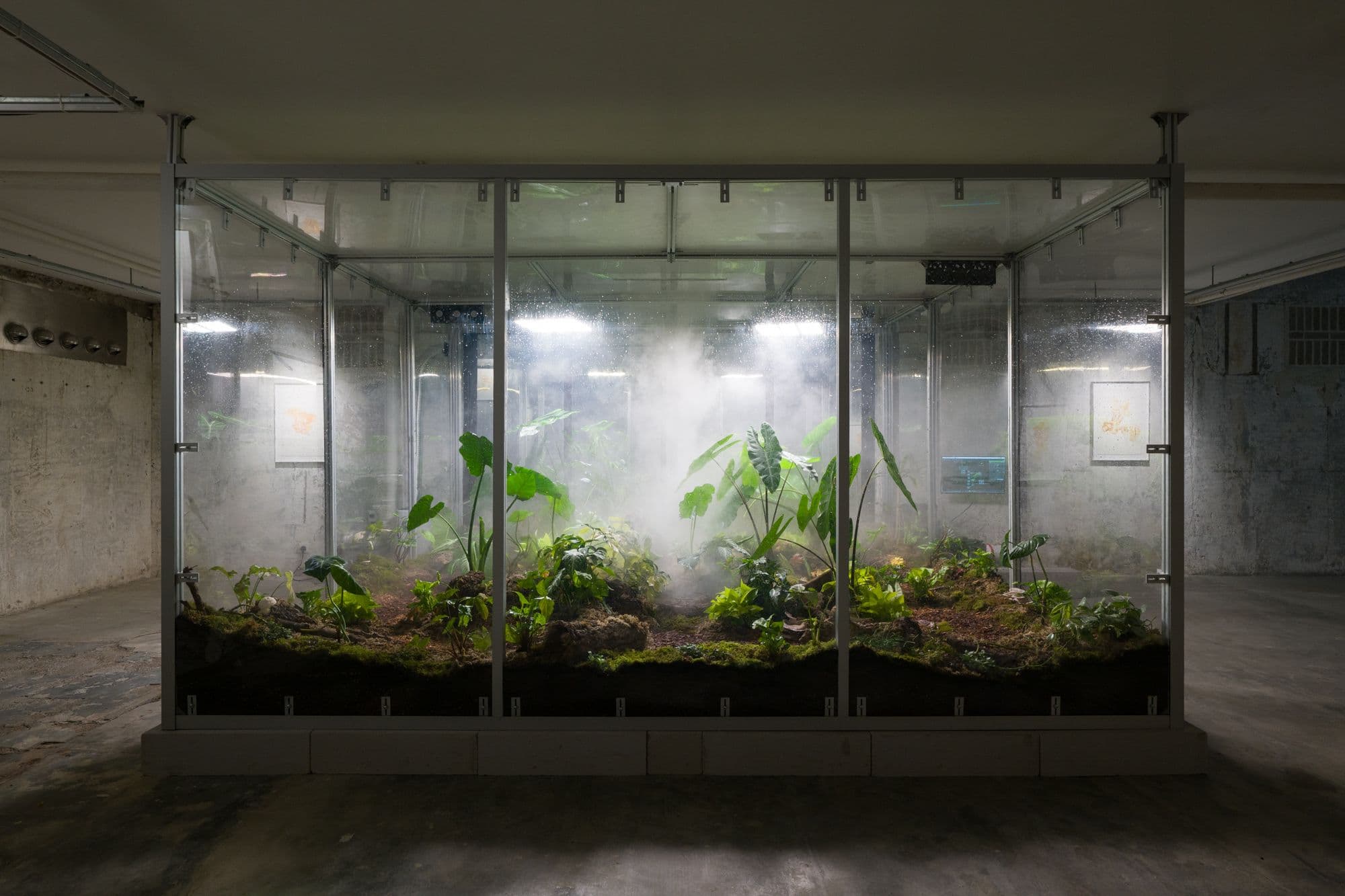 ZHENG MAHLER: MUSHROOM CLOUDS